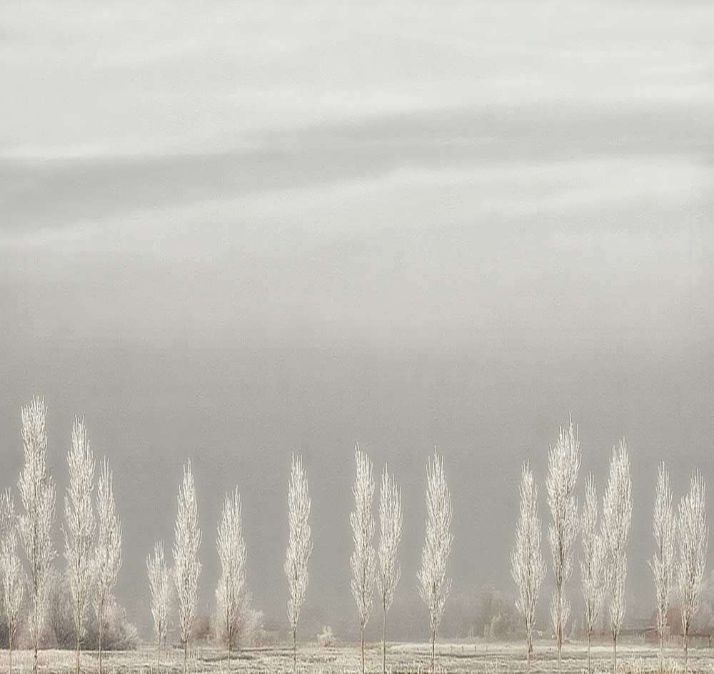 Silent World von Yvette Depaepe