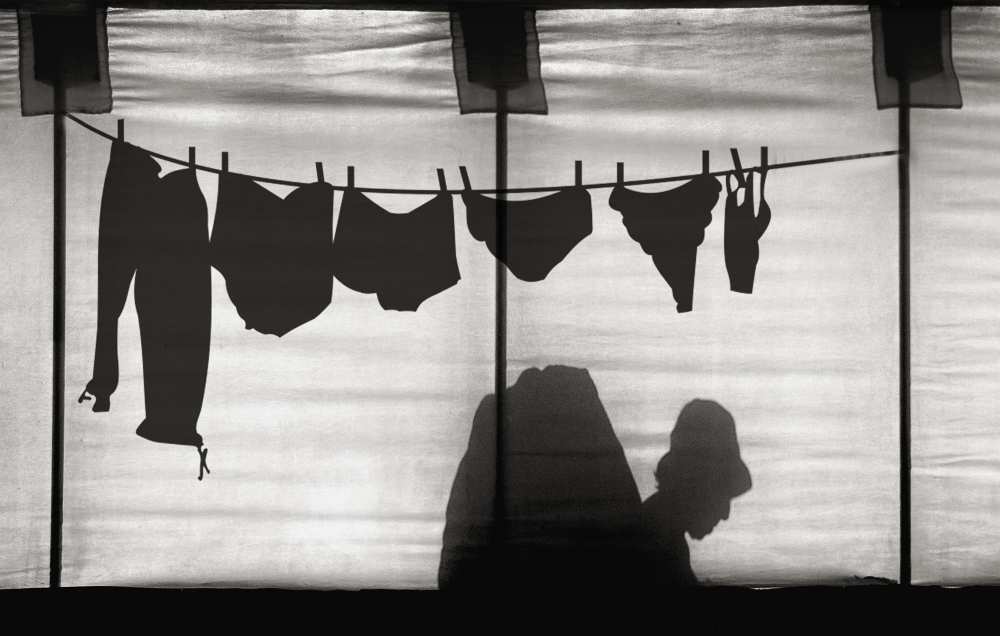 Turtle lady sunbathing in her backyard von Yvette Depaepe