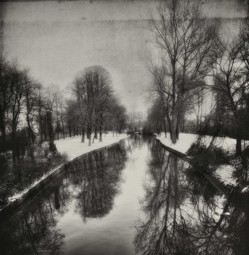 Walking in a winter canvas von Yvette Depaepe