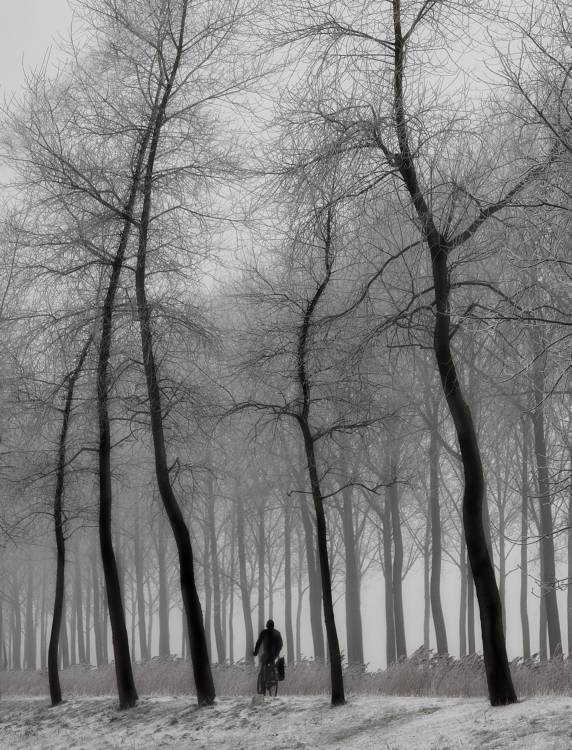 When winter knocks on the door ... von Yvette Depaepe