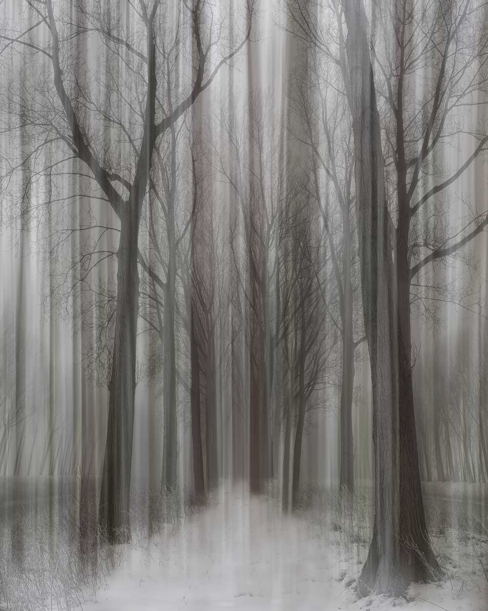 Winter Walz von Yvette Depaepe
