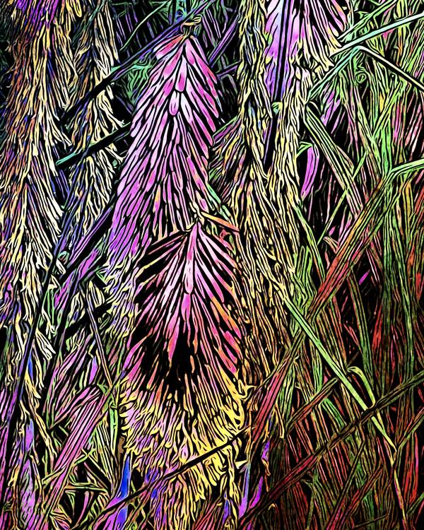 Blumenzauber, Motiv 2 von zamart