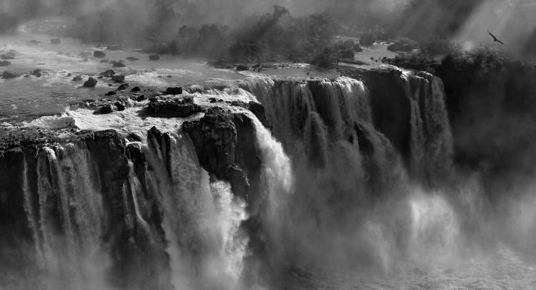 Demonstration of Power von Zan Zhang