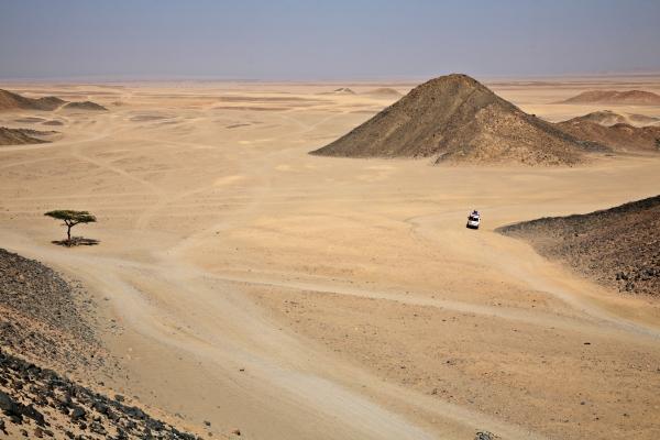 Die Wüste lebt..2 von Zeno Kothgasser