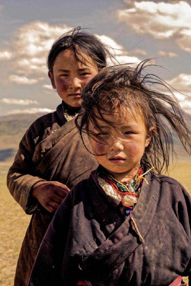 The two sunshine flowers von Zeqiang Wang