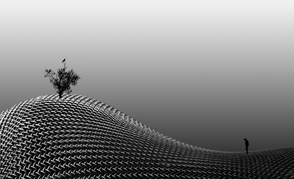 untitledl von zeynab hassan yazdi