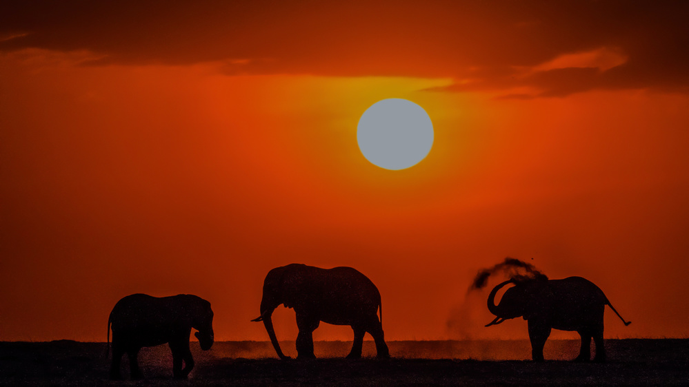 Sunset at Kenya von Zhanhai Zhang
