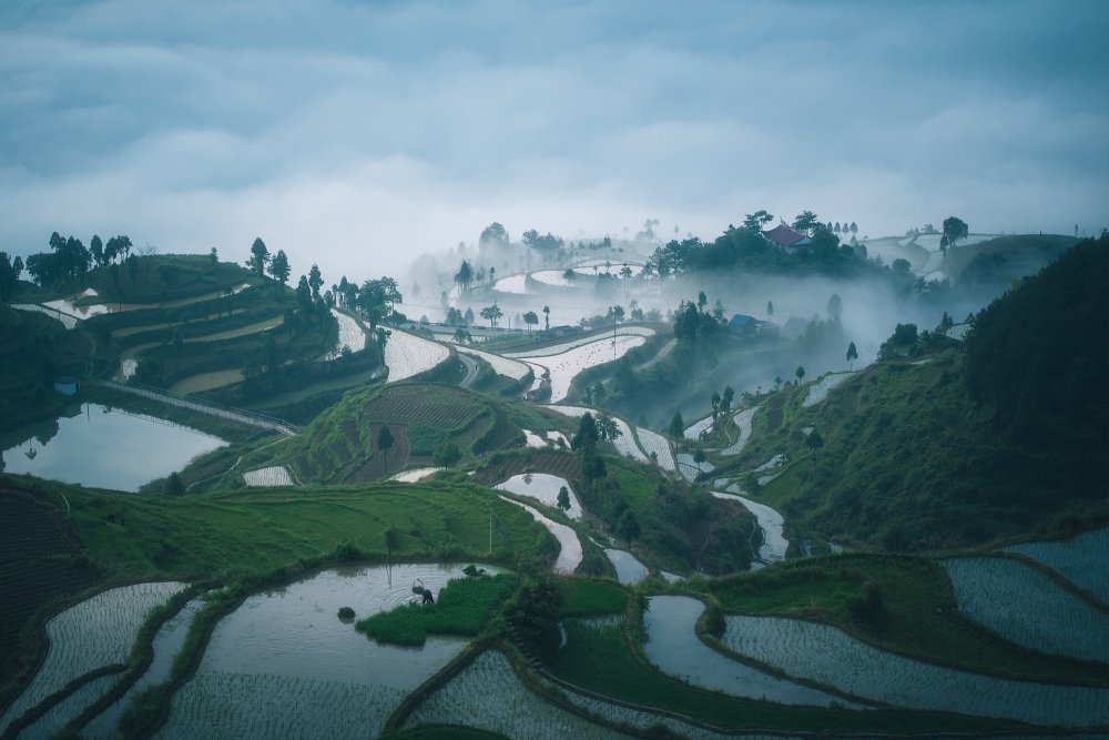 Spring morning von Zhou Feng