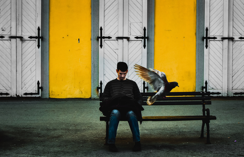 I wish I could fly von Zlatko Vickovic