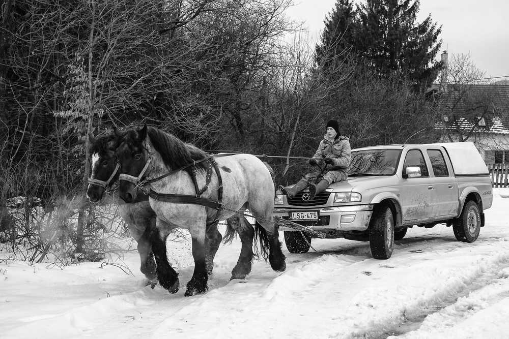 2 horsepower von Zoran Toldi (EFIAP AZSF)
