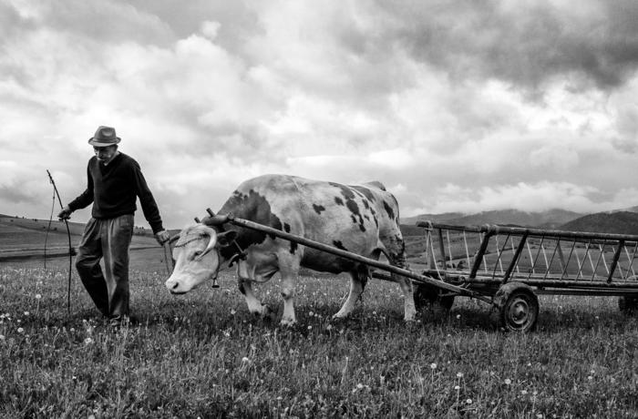 Zoran Toldi (EFIAP AZSF)