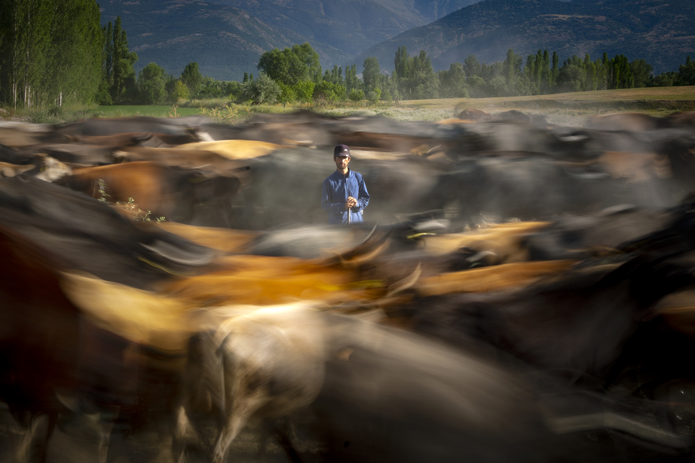 herd sea von Zühdü Bilgin