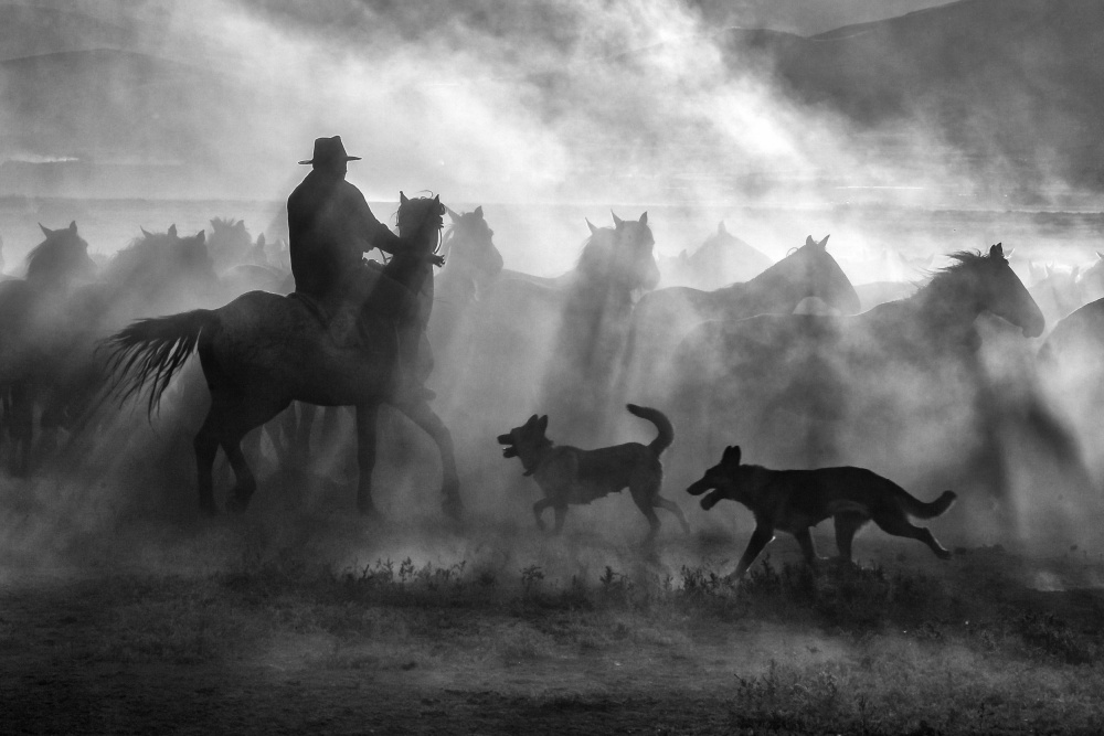 untitledl von Zühdü Bilgin