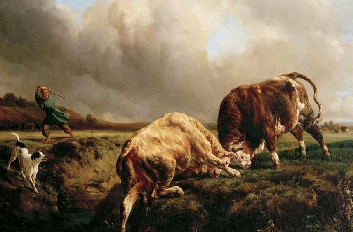 Musée d'arts de Nantes